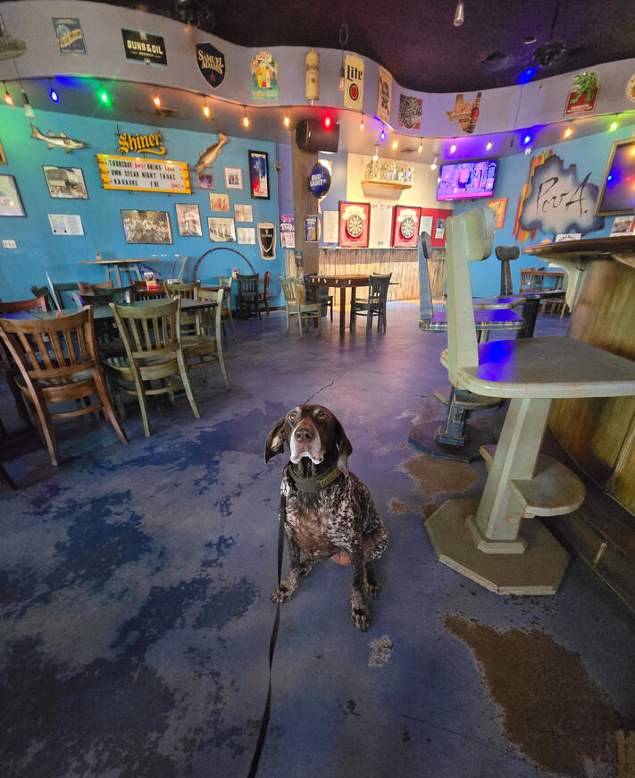 Bar 361