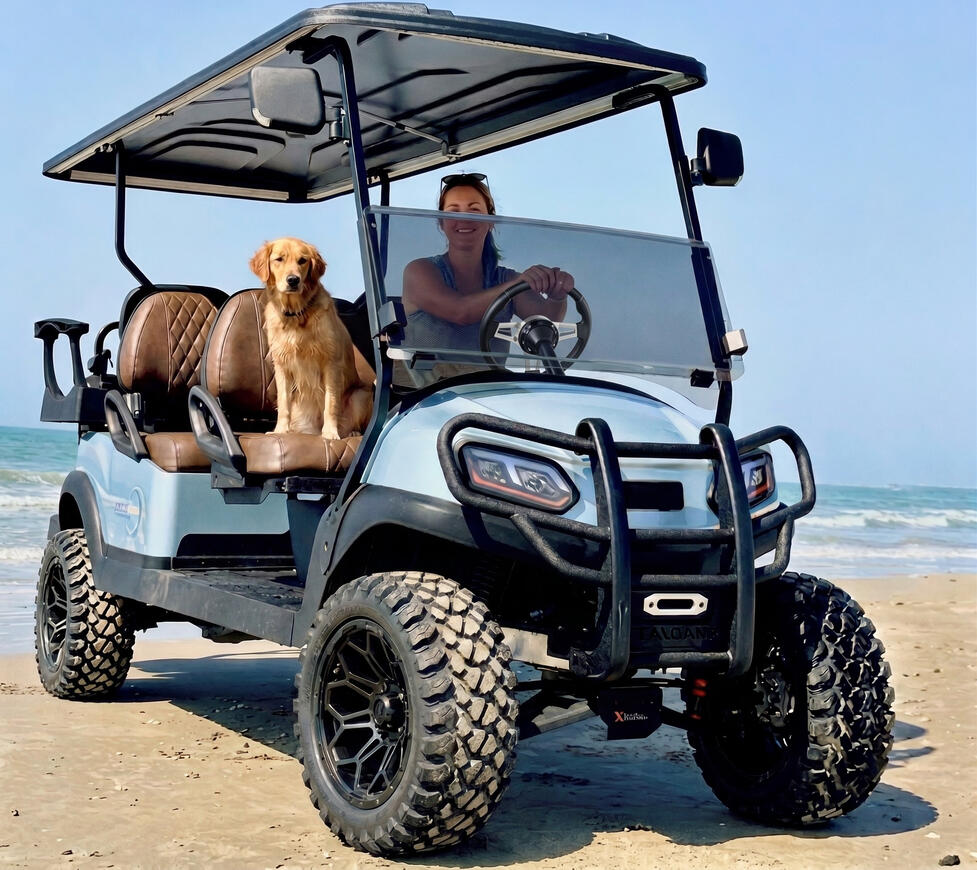 Beach Cruiser Carts