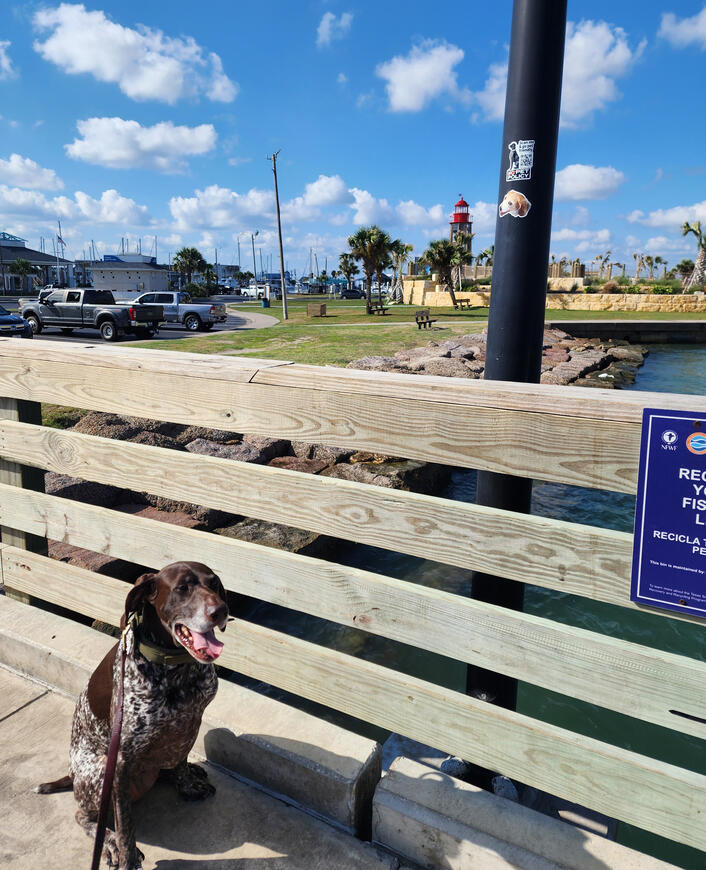 Roberts Point Park
